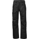 The North Face Mens Seymore Pant