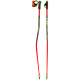 Leki WCR Pro GS TR Ski Pole