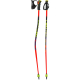 Leki WCR Evo Lite GS TR Ski Pole