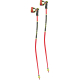 Leki World Cup TBS GS Ski Pole