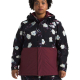 The North Face Women's Freedom Plus Insulated Jacket