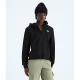 The North Face Evolution Simple Dome Full Zip Hoody
