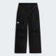 The North Face Boys Freedom Insulated Pant